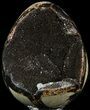 Septarian Dragon Egg Geode - Black Crystals #54542-1